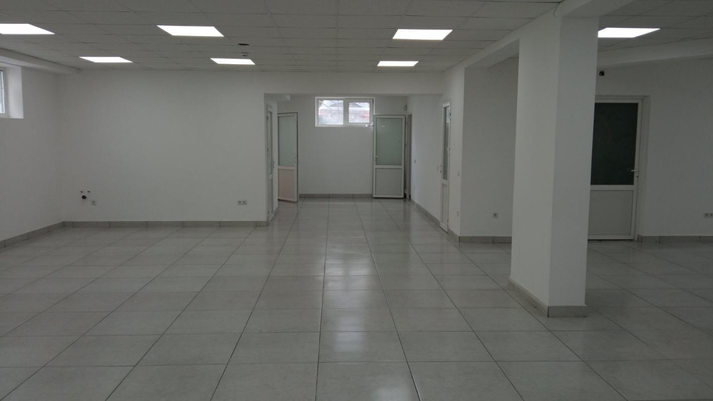 Long term rent commercial property Lesia Kurbasa Street 2