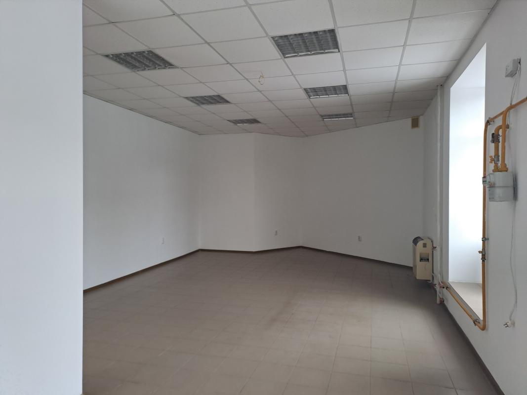 Long term rent commercial property Mykulynetska Street