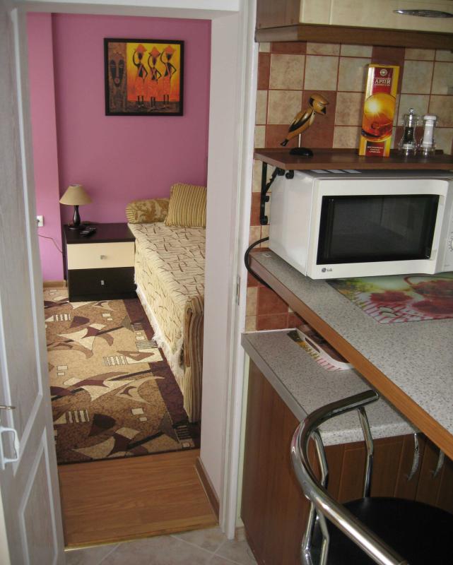 Long term rent 1 bedroom-(s) apartment Beresteiska Avenue (Peremohy Avenue) 39