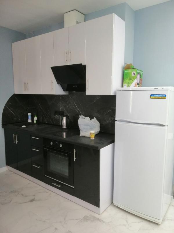 Long term rent 1 bedroom-(s) apartment Stolychne Road