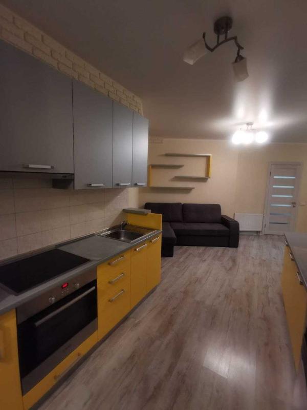 Long term rent 1 bedroom-(s) apartment Ryzka Street 73Г