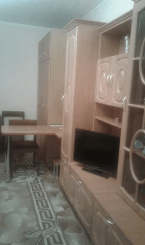 Long term rent 1 bedroom-(s) apartment Zernovyi Lane 5в