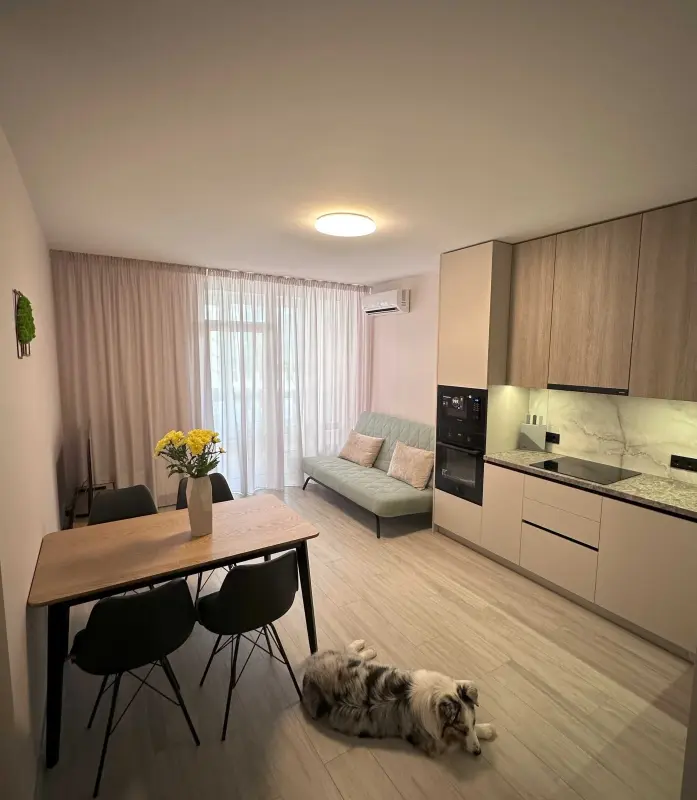 Apartment for rent - Sholudenka Street