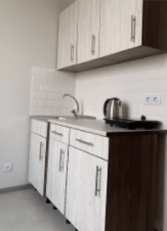 Long term rent 1 bedroom-(s) apartment Velyka Panasivska Street (Kotlova Street) 115